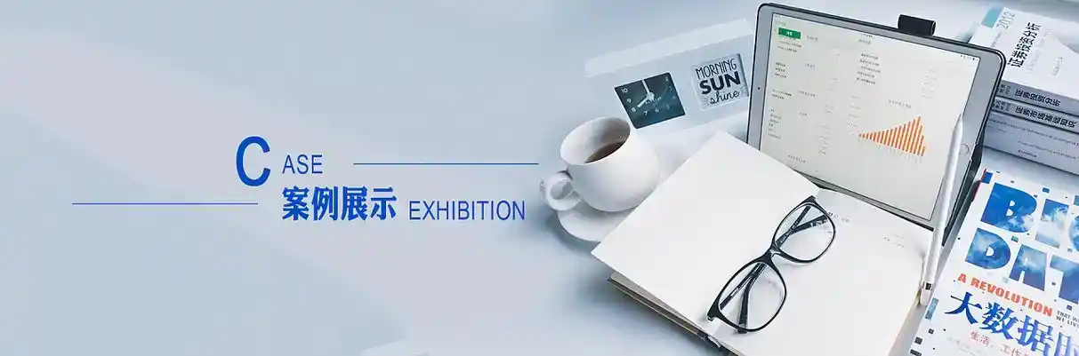 平舆县软件开发